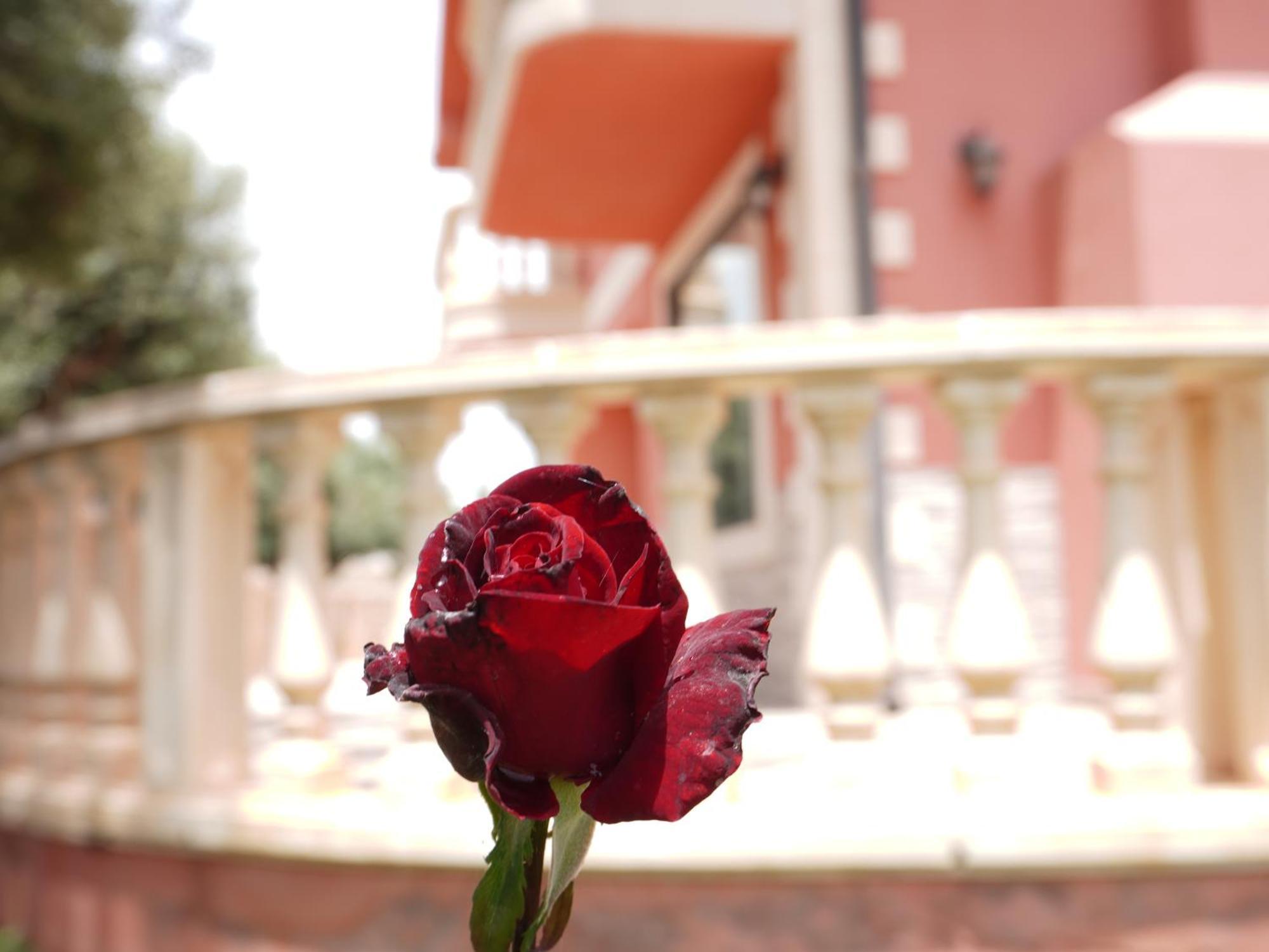 Domus Sicula Villa Punta Secca Dış mekan fotoğraf